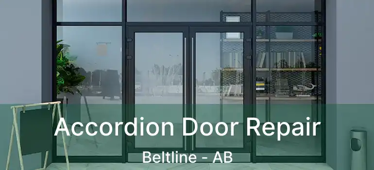  Accordion Door Repair Beltline - AB