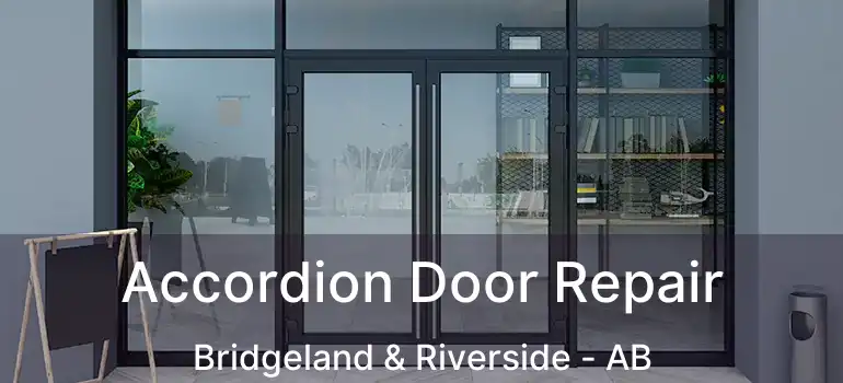  Accordion Door Repair Bridgeland & Riverside - AB