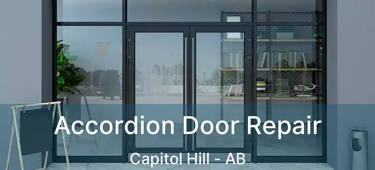  Accordion Door Repair Capitol Hill - AB