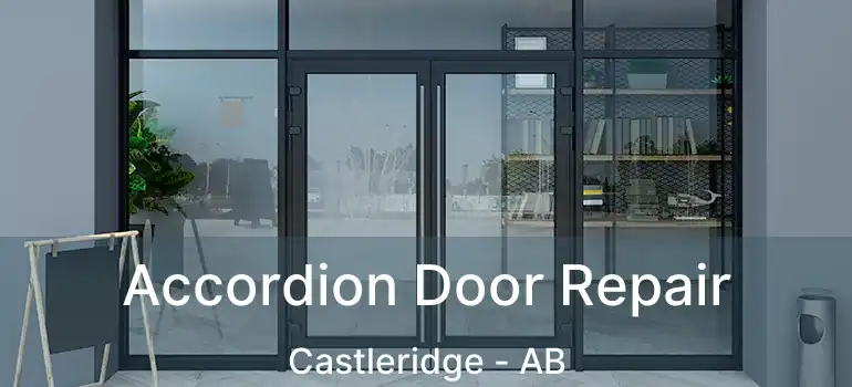  Accordion Door Repair Castleridge - AB