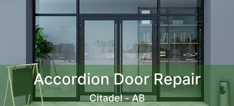  Accordion Door Repair Citadel - AB
