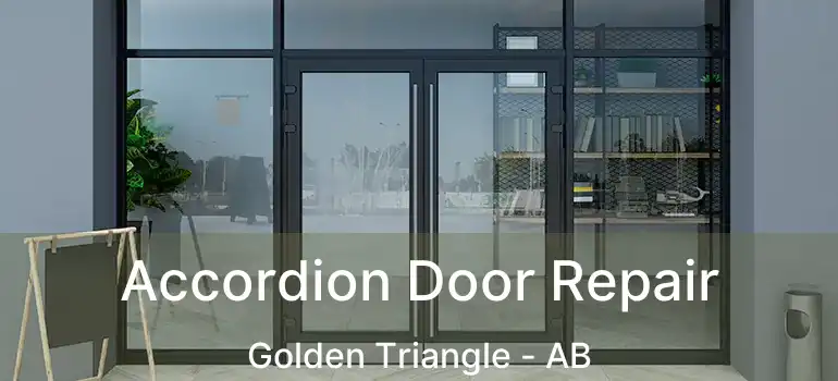  Accordion Door Repair Golden Triangle - AB