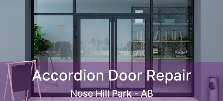  Accordion Door Repair Nose Hill Park - AB