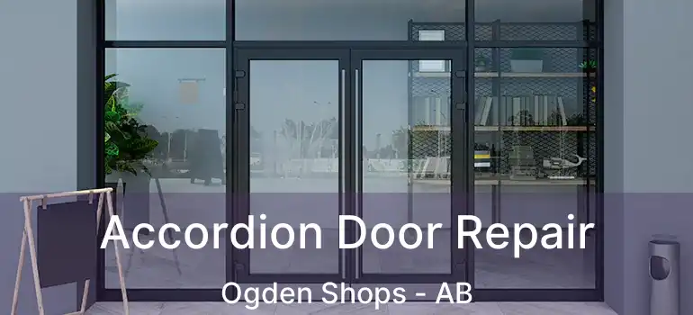  Accordion Door Repair Ogden Shops - AB