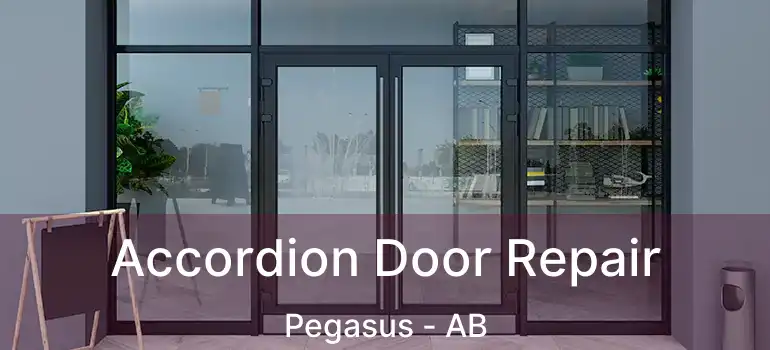  Accordion Door Repair Pegasus - AB