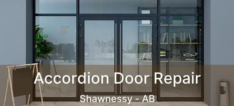  Accordion Door Repair Shawnessy - AB