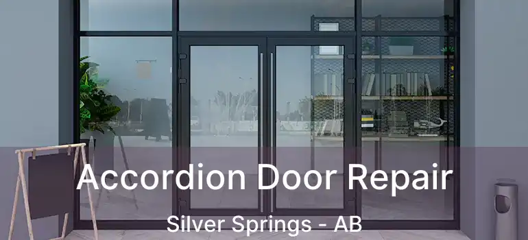  Accordion Door Repair Silver Springs - AB