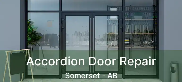  Accordion Door Repair Somerset - AB