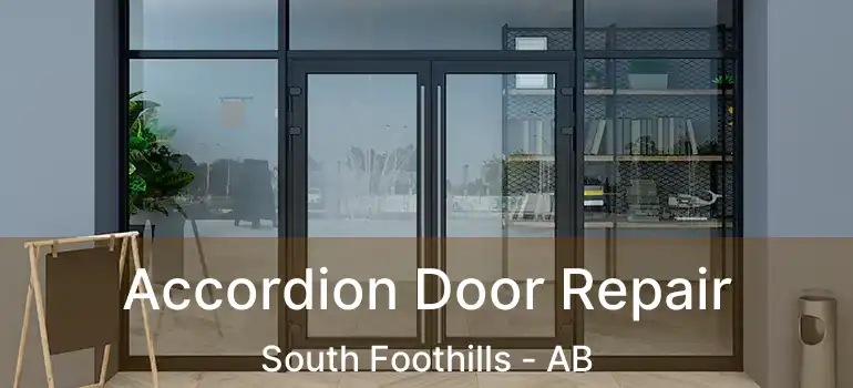  Accordion Door Repair South Foothills - AB