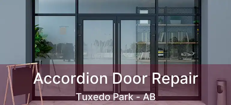  Accordion Door Repair Tuxedo Park - AB