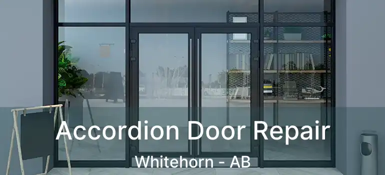  Accordion Door Repair Whitehorn - AB