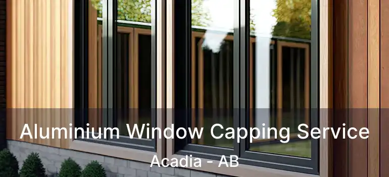  Aluminium Window Capping Service Acadia - AB
