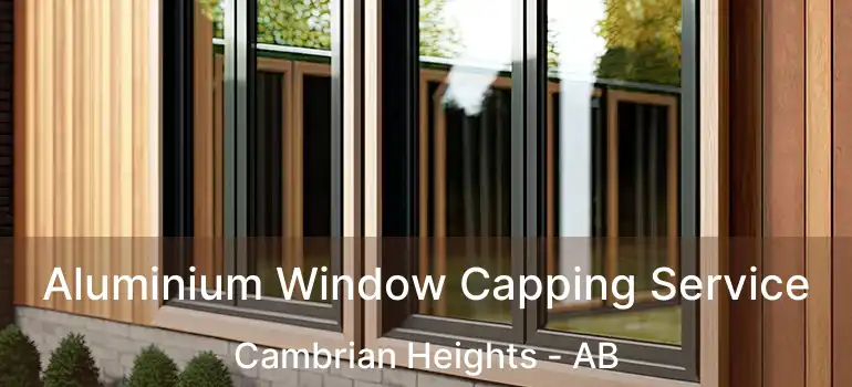  Aluminium Window Capping Service Cambrian Heights - AB
