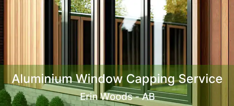  Aluminium Window Capping Service Erin Woods - AB