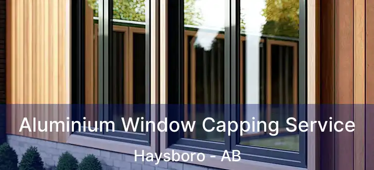  Aluminium Window Capping Service Haysboro - AB