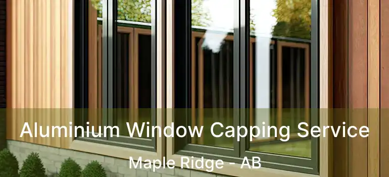  Aluminium Window Capping Service Maple Ridge - AB