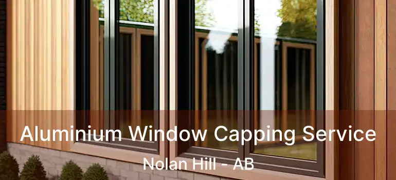  Aluminium Window Capping Service Nolan Hill - AB