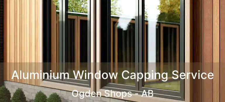  Aluminium Window Capping Service Ogden Shops - AB