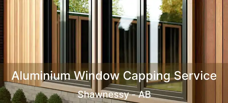  Aluminium Window Capping Service Shawnessy - AB