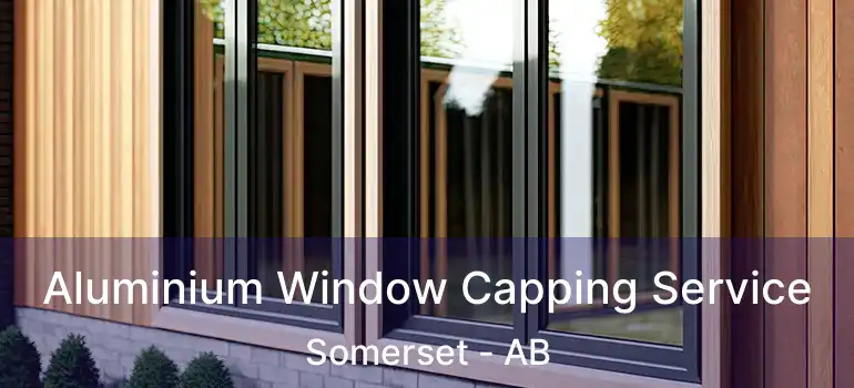  Aluminium Window Capping Service Somerset - AB