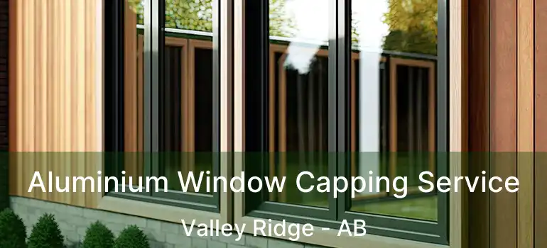  Aluminium Window Capping Service Valley Ridge - AB