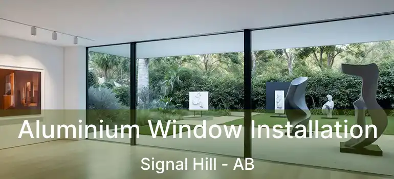  Aluminium Window Installation Signal Hill - AB
