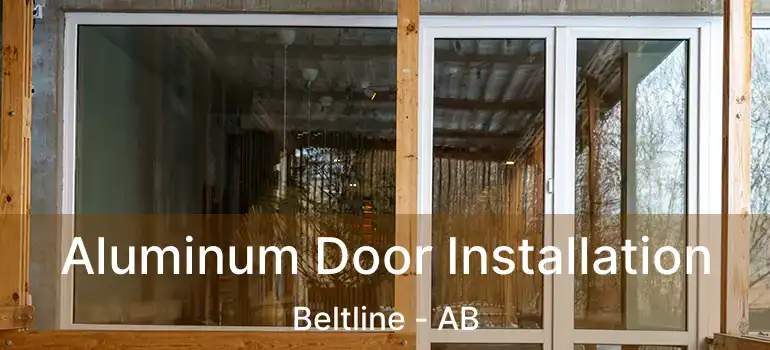  Aluminum Door Installation Beltline - AB