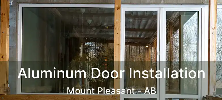  Aluminum Door Installation Mount Pleasant - AB