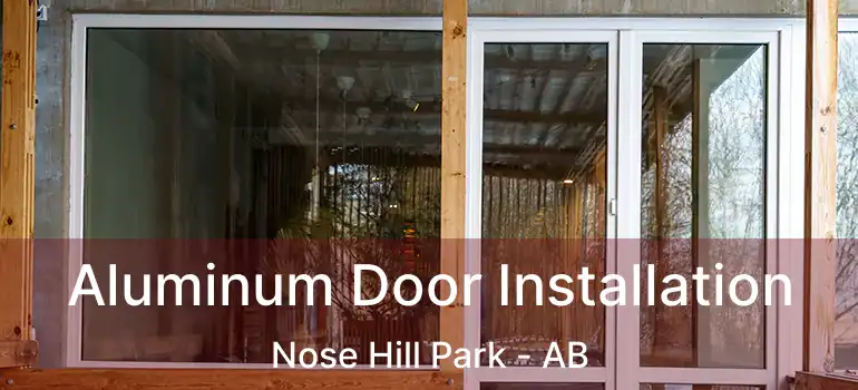  Aluminum Door Installation Nose Hill Park - AB