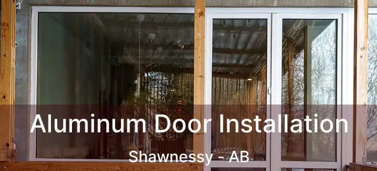  Aluminum Door Installation Shawnessy - AB