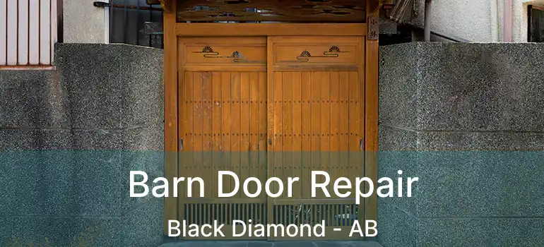  Barn Door Repair Black Diamond - AB