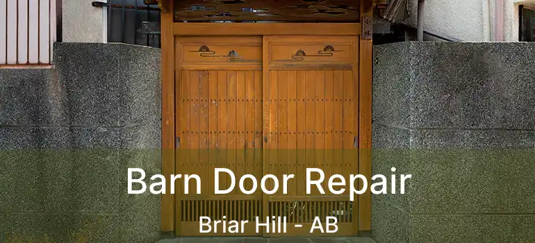  Barn Door Repair Briar Hill - AB