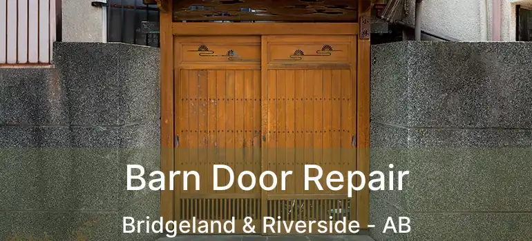  Barn Door Repair Bridgeland & Riverside - AB