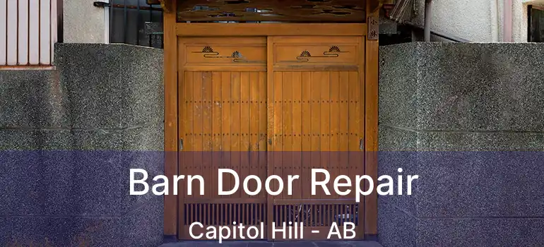  Barn Door Repair Capitol Hill - AB