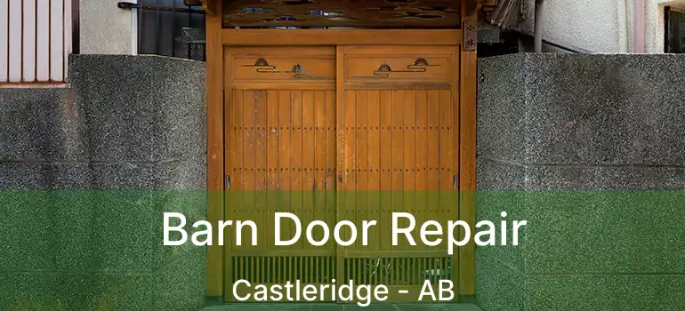  Barn Door Repair Castleridge - AB