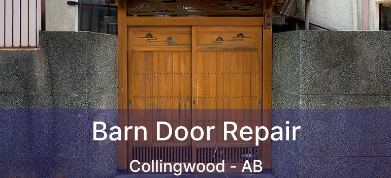  Barn Door Repair Collingwood - AB