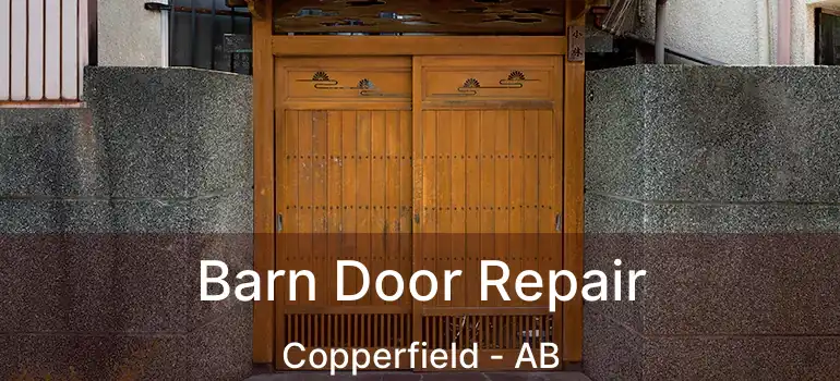  Barn Door Repair Copperfield - AB