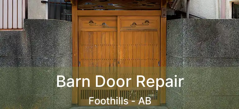  Barn Door Repair Foothills - AB