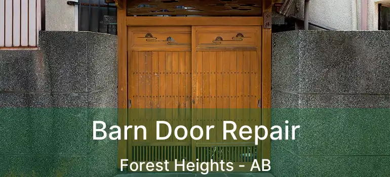  Barn Door Repair Forest Heights - AB