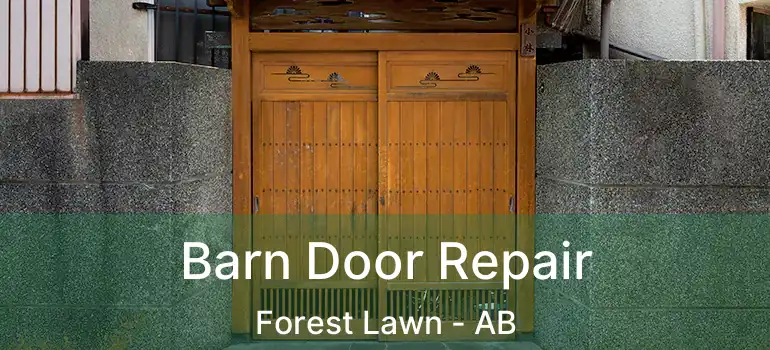  Barn Door Repair Forest Lawn - AB