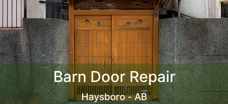  Barn Door Repair Haysboro - AB