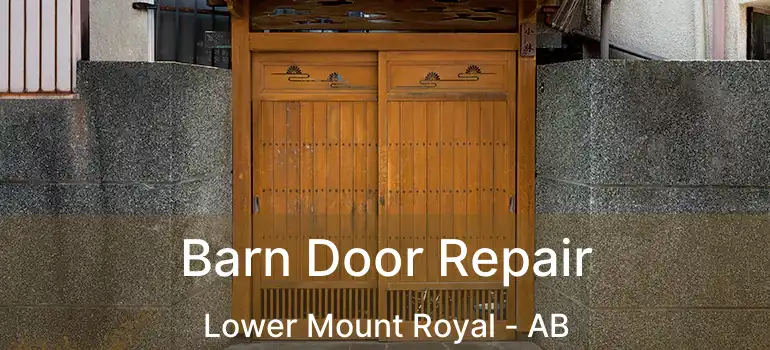  Barn Door Repair Lower Mount Royal - AB
