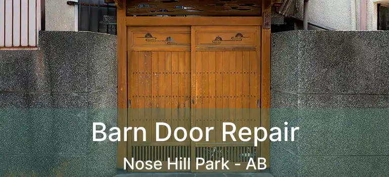 Barn Door Repair Nose Hill Park - AB