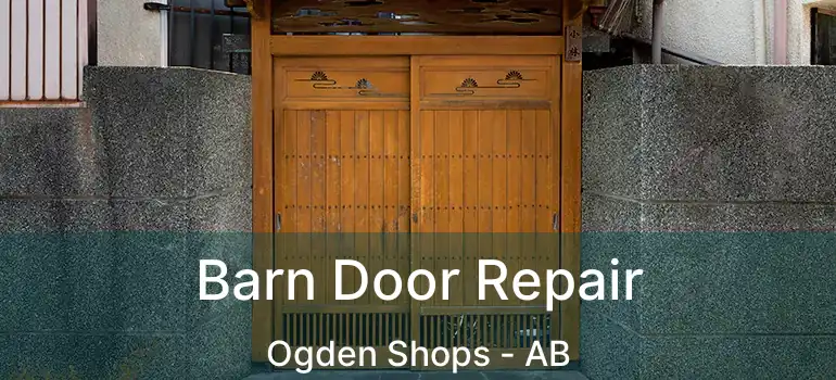  Barn Door Repair Ogden Shops - AB