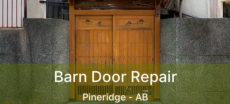  Barn Door Repair Pineridge - AB