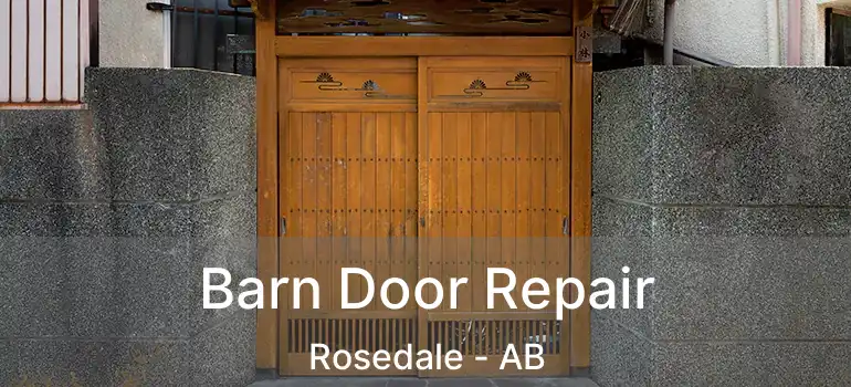  Barn Door Repair Rosedale - AB