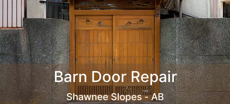  Barn Door Repair Shawnee Slopes - AB