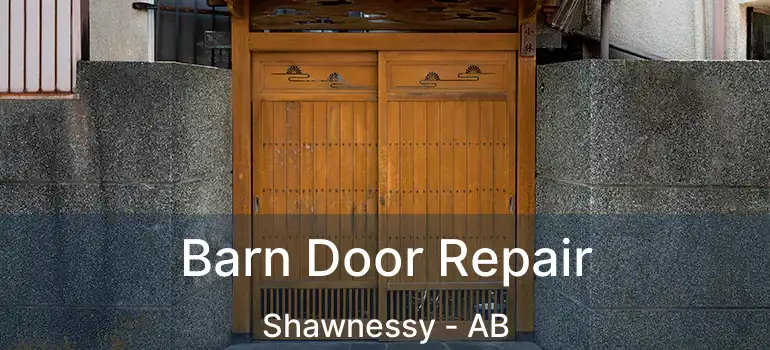  Barn Door Repair Shawnessy - AB