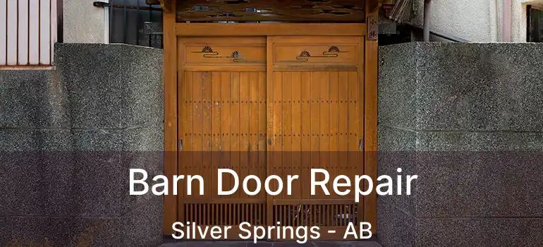  Barn Door Repair Silver Springs - AB