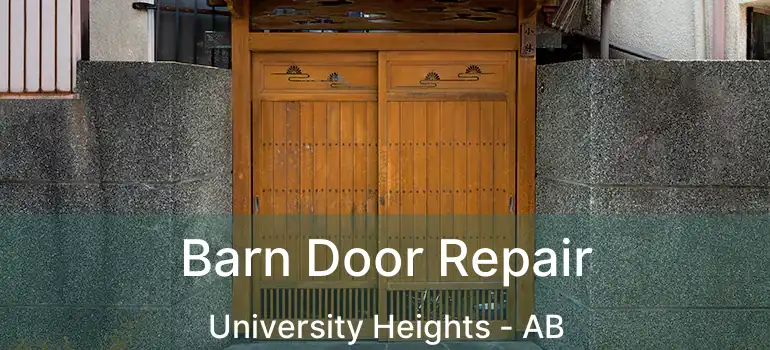  Barn Door Repair University Heights - AB